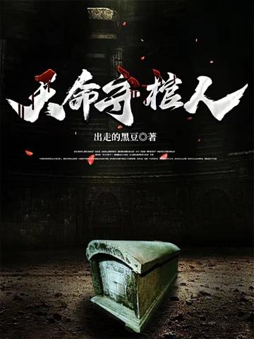 天命守护神